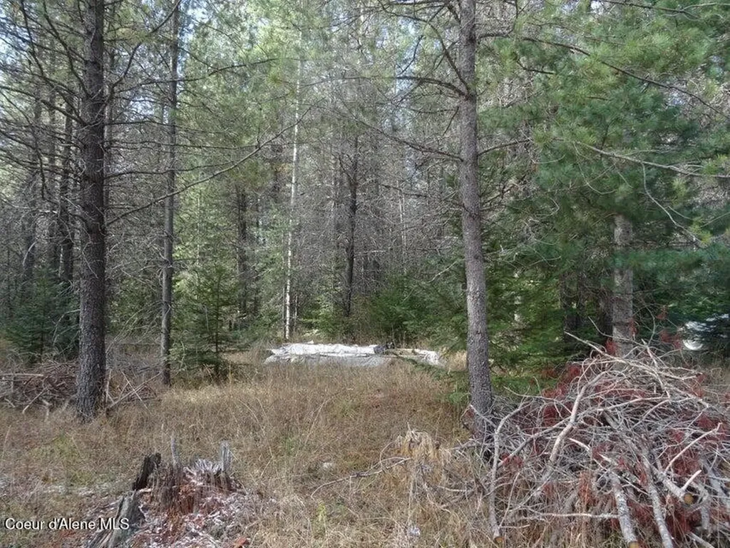 Nna Jasper Meadow (4951a) Lane Priest River ID 83856