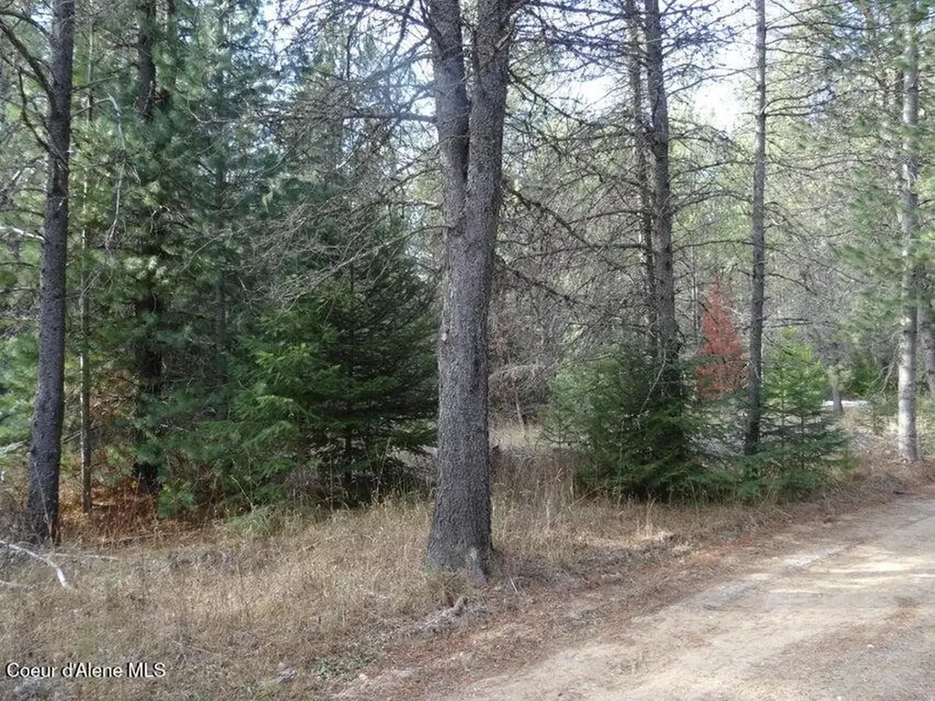 Nna Jasper Meadow (4951a) Lane Priest River ID 83856