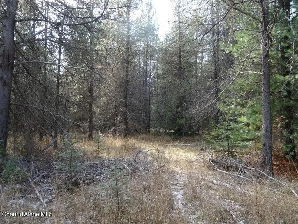 Nna Jasper Meadow (4951a) Lane Priest River ID 83856