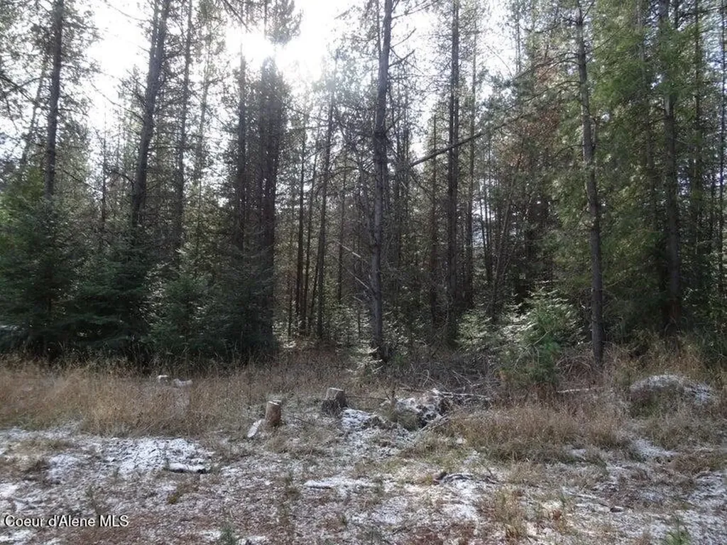 Nna Jasper Meadow (4951a) Lane Priest River ID 83856