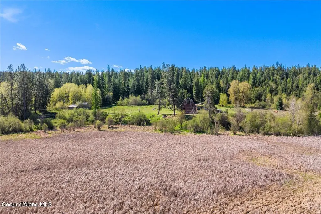4610 Kelso Lake Road Athol ID 83801