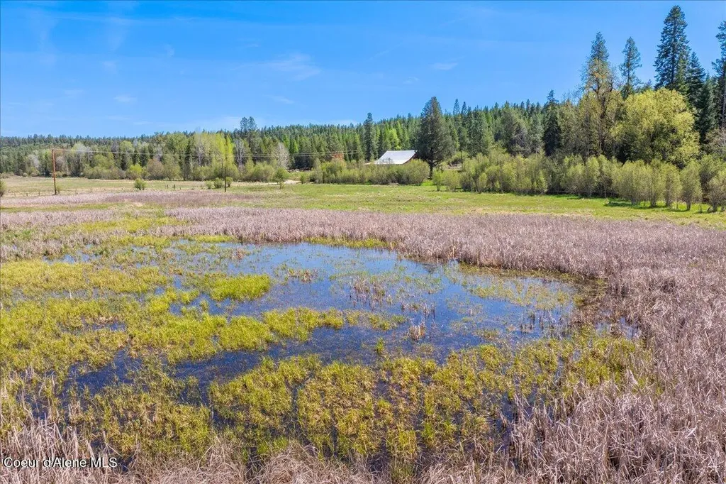 4610 Kelso Lake Road Athol ID 83801