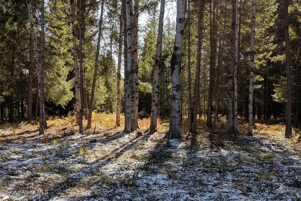870 & 842 Samuels Road Sandpoint ID 83864
