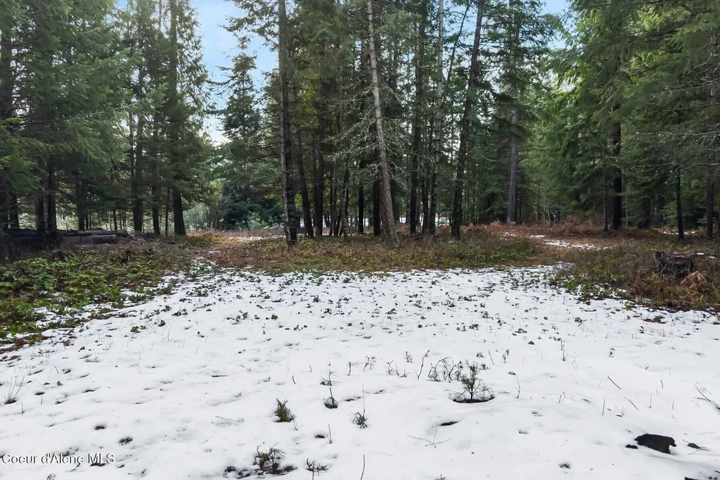 870 & 842 Samuels Road Sandpoint ID 83864