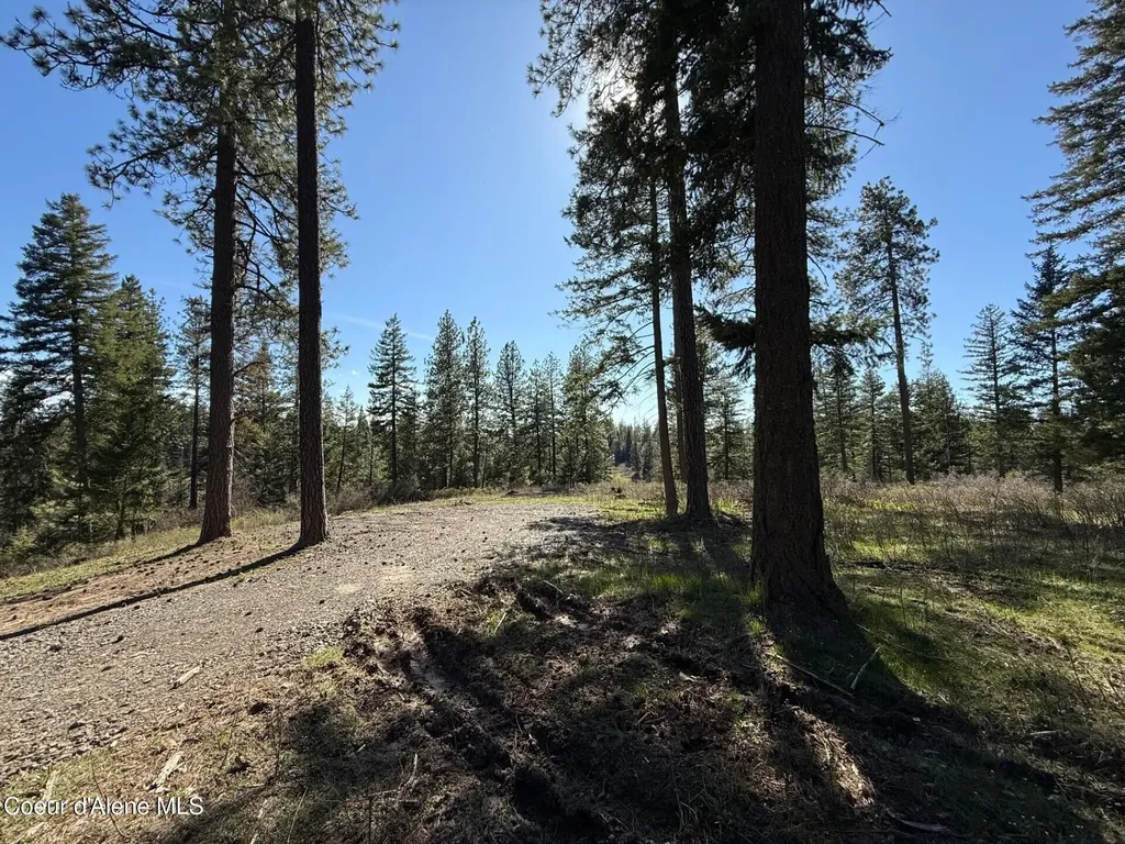 Nka Sun Up Bay & Bennion Road Worley ID 83876