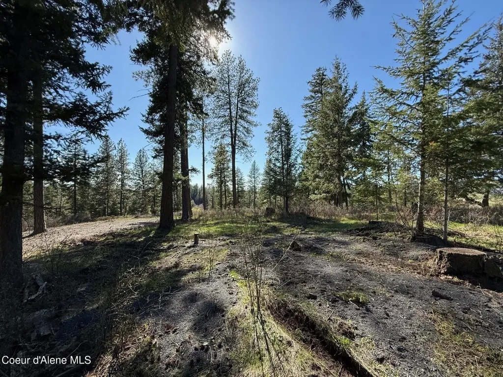 Nka Sun Up Bay & Bennion Road Worley ID 83876