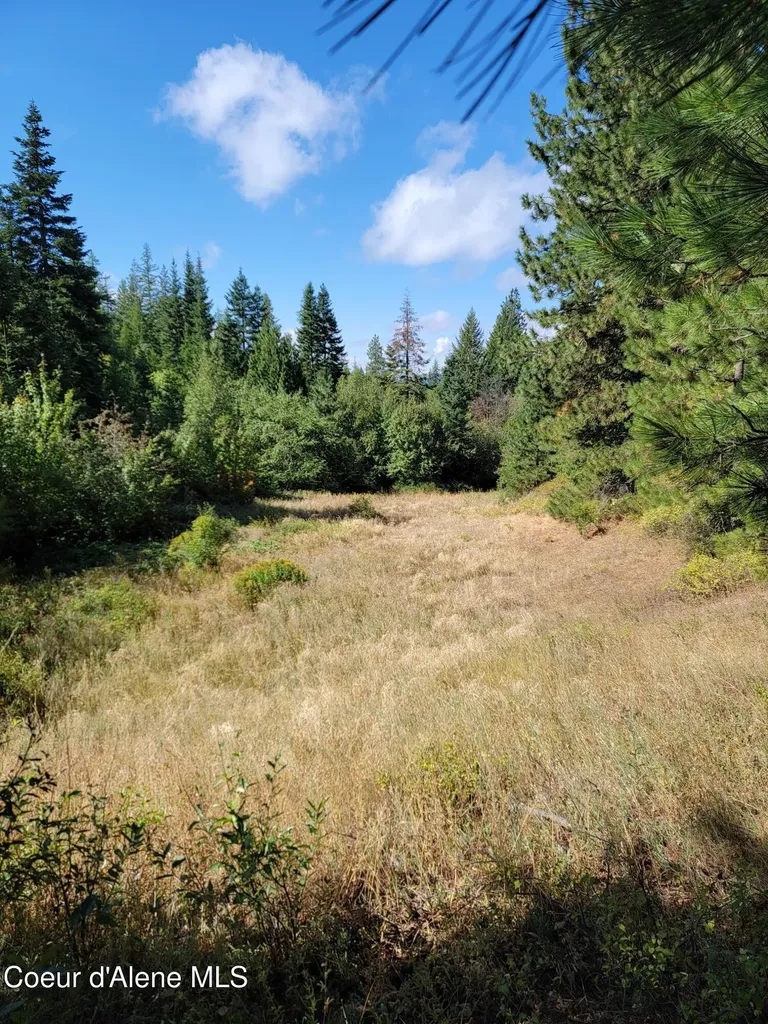 Nka Lot B-f Lamb Road Harrison ID 83833