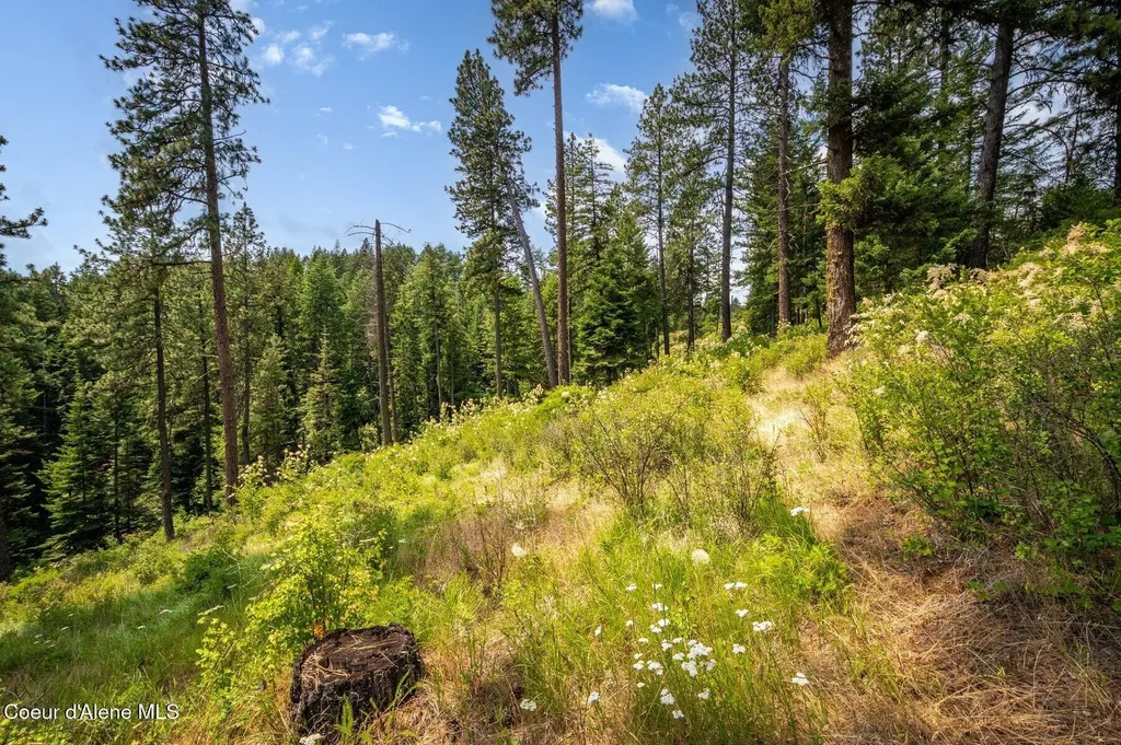 Nka S Bella Vista Road Worley ID 83876