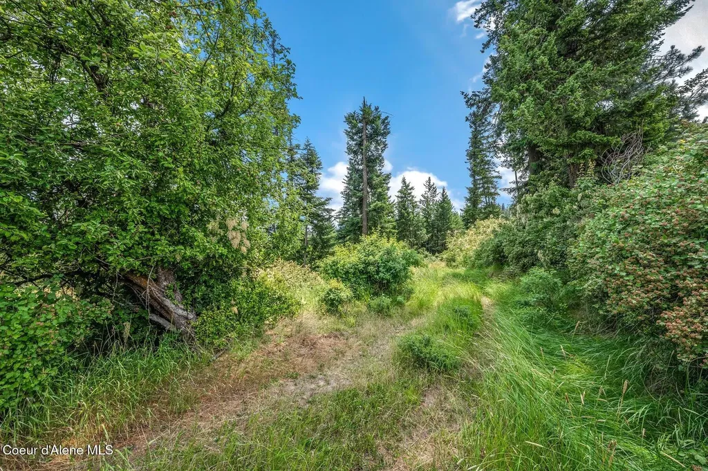 Nka S Bella Vista Road Worley ID 83876