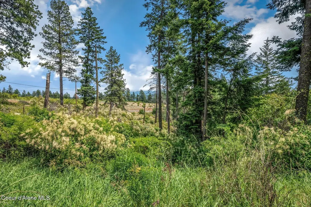 Nka S Bella Vista Road Worley ID 83876