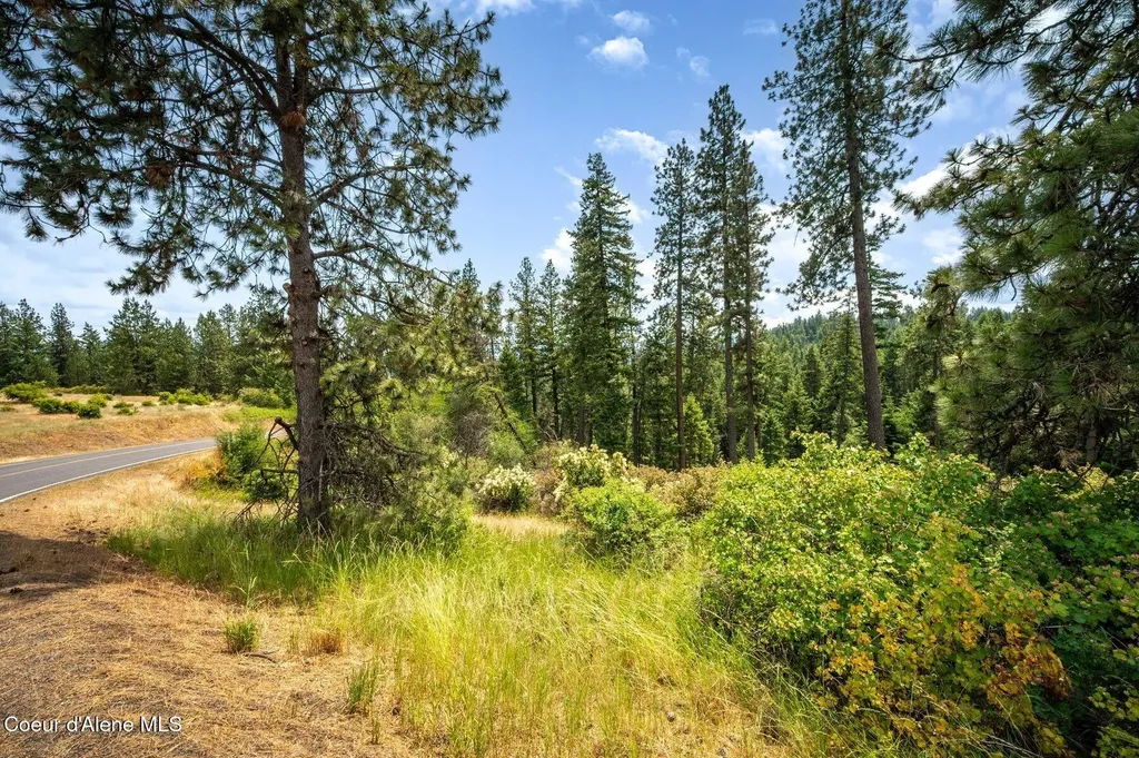 Nka S Bella Vista Road Worley ID 83876