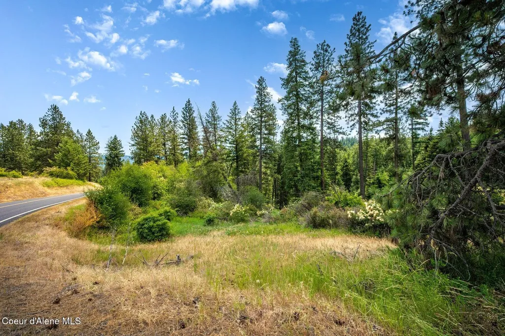 Nka S Bella Vista Road Worley ID 83876
