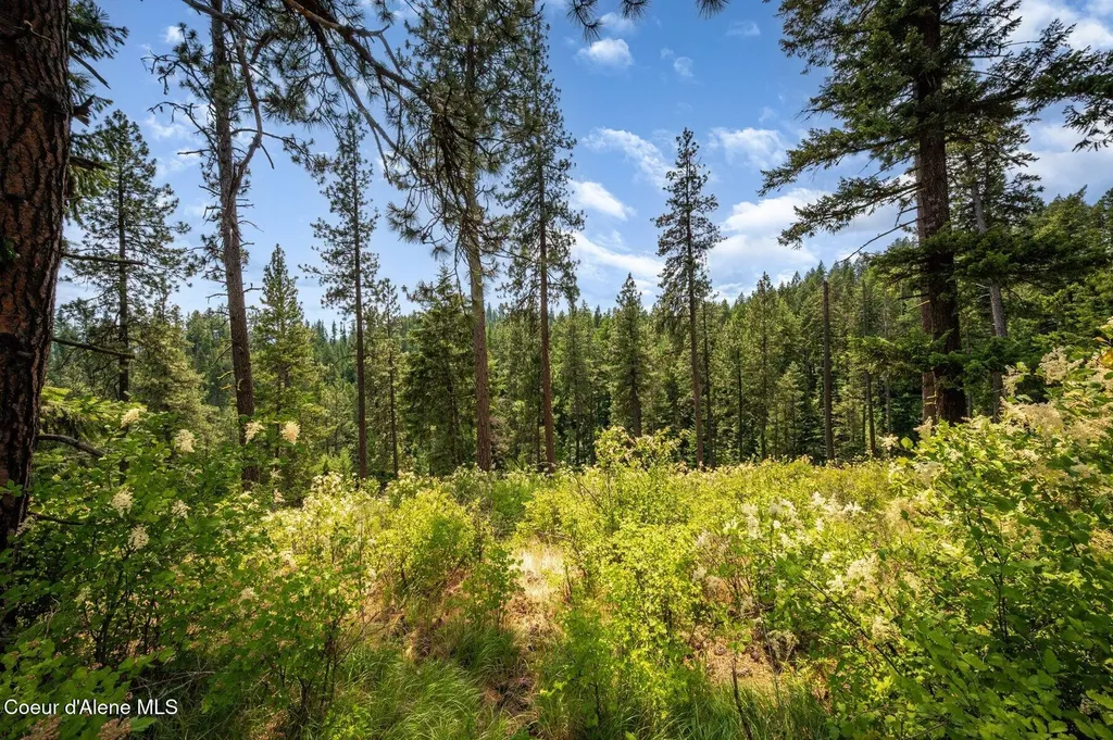Nka S Bella Vista Road Worley ID 83876