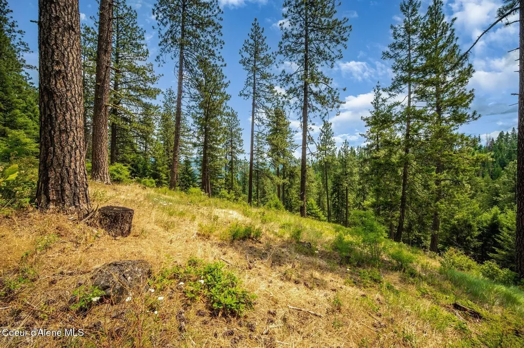 Nka S Bella Vista Road Worley ID 83876