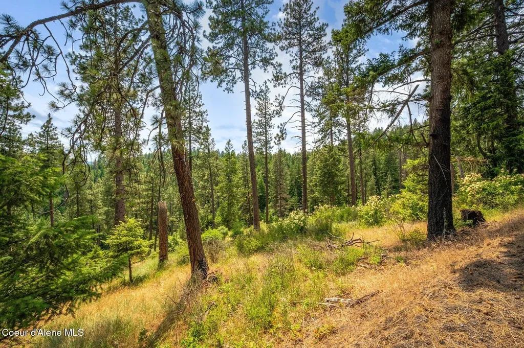 Nka S Bella Vista Road Worley ID 83876