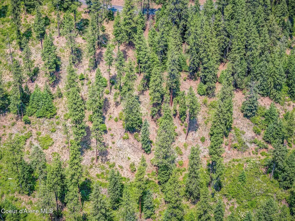 Nka S Bella Vista Road Worley ID 83876