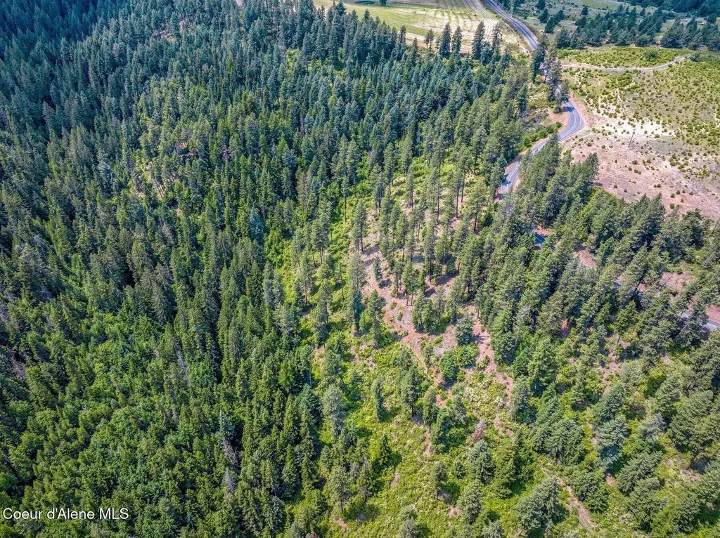 Nka S Bella Vista Road Worley ID 83876