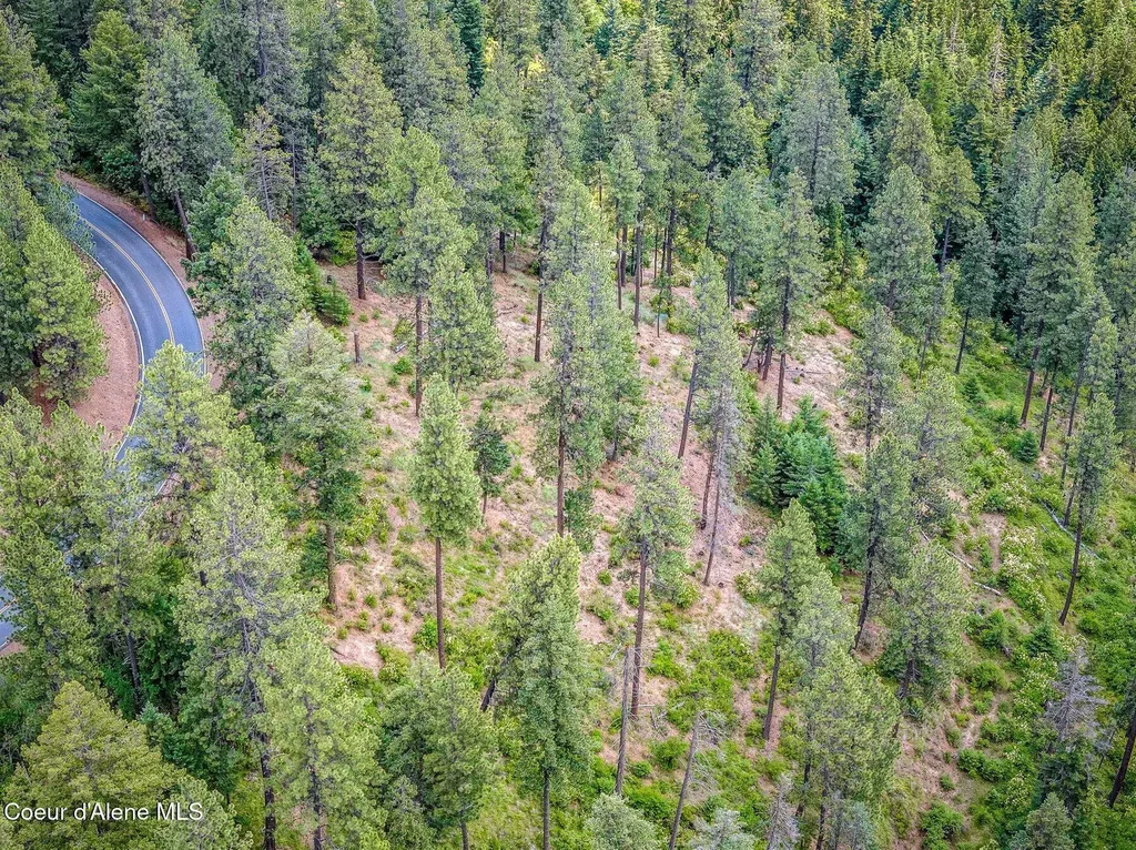 Nka S Bella Vista Road Worley ID 83876