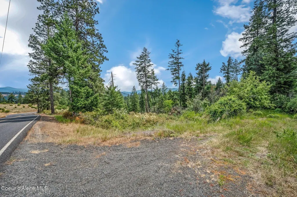 Nka S Bella Vista Road Worley ID 83876