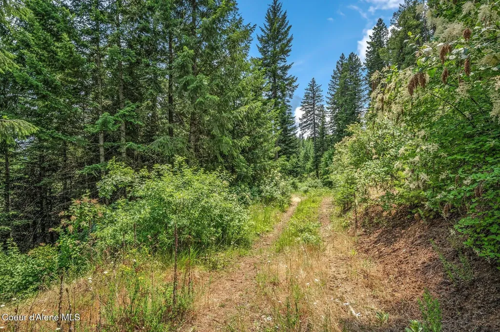 Nka S Bella Vista Road Worley ID 83876