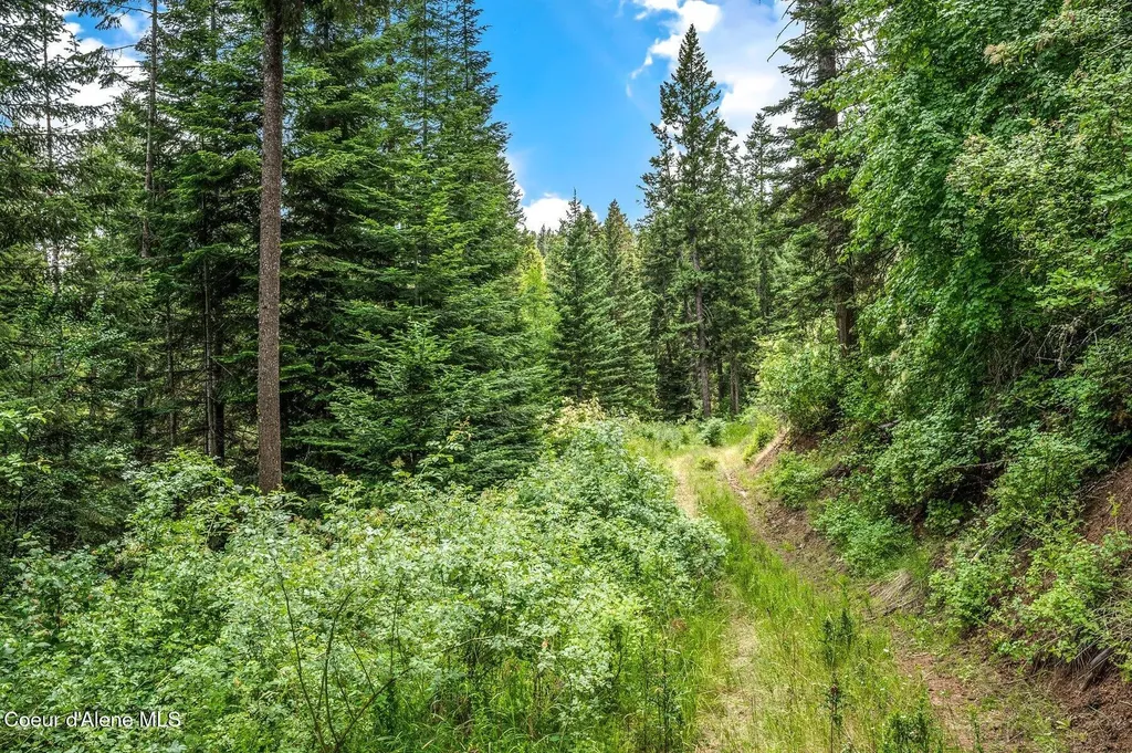 Nka S Bella Vista Road Worley ID 83876
