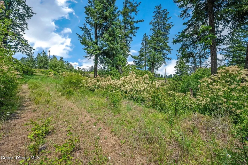 Nka S Bella Vista Road Worley ID 83876