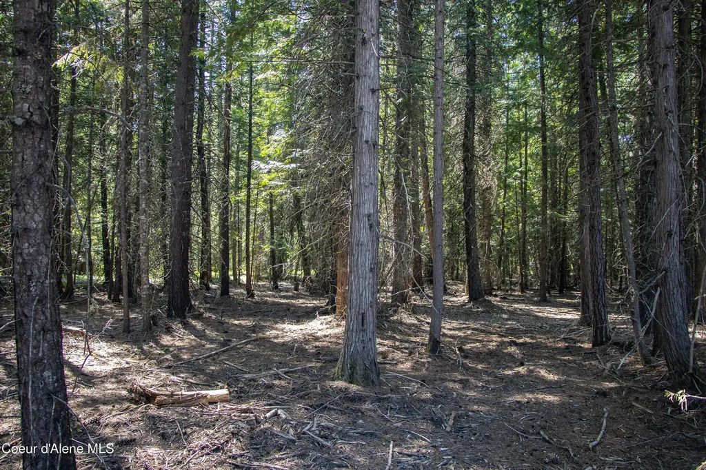 245 Lost Creek Lane Priest River ID 83856