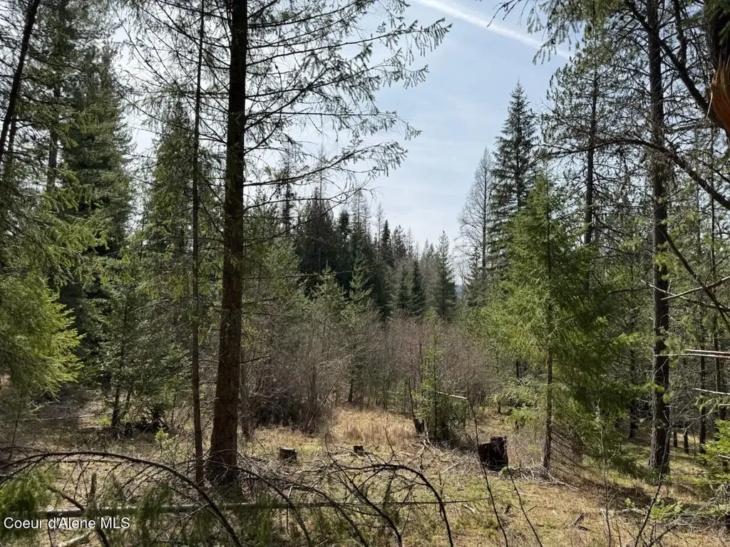 Nna Wrenco Loop, Blk 2 Lot 1 Sandpoint ID 83864