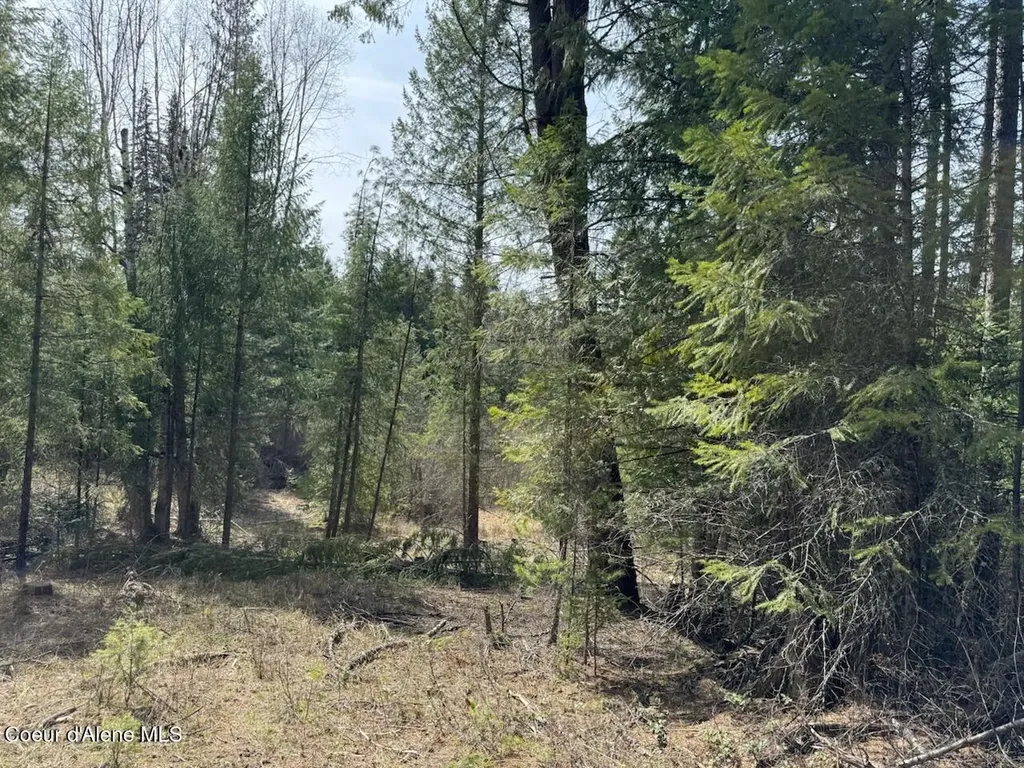 Nna Wrenco Loop, Blk 2 Lot 1 Sandpoint ID 83864
