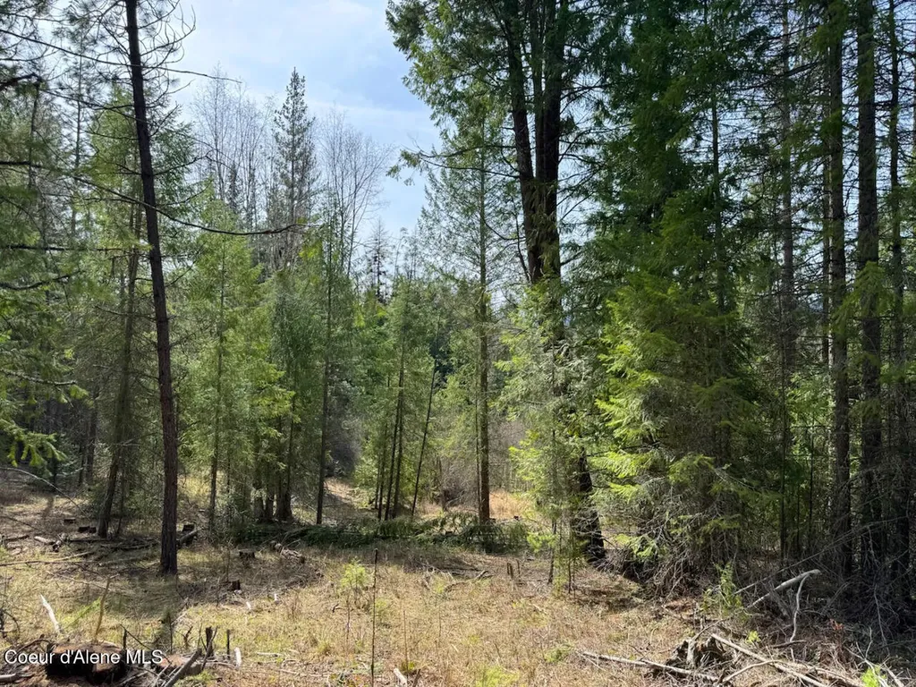 Nna Wrenco Loop, Blk 2 Lot 1 Sandpoint ID 83864