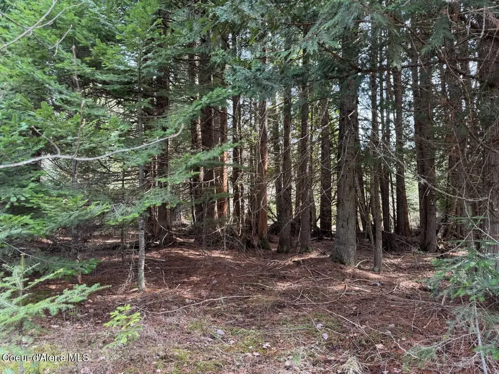 Nna Wrenco Loop, Blk 2 Lot 1 Sandpoint ID 83864