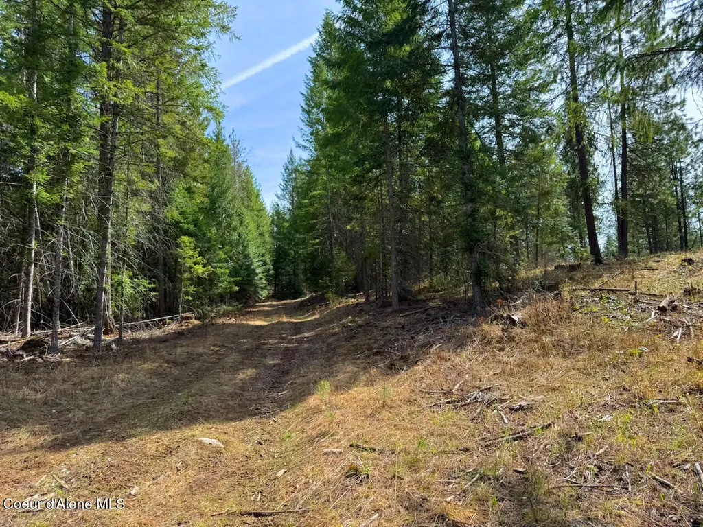 Nna Wrenco Loop, Blk 2 Lot 1 Sandpoint ID 83864