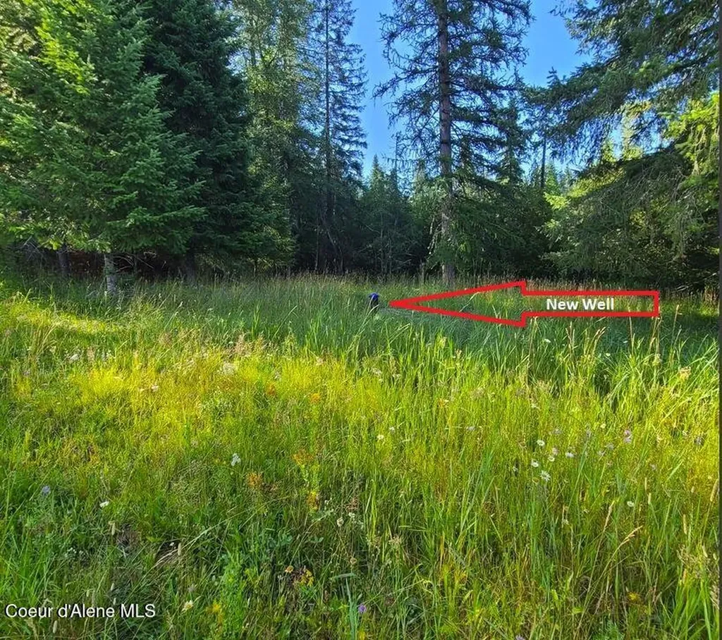 Nna Wrenco Loop, Blk 2 Lot 1 Sandpoint ID 83864
