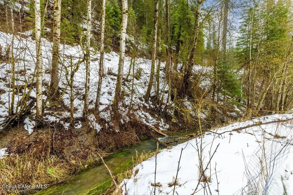 534 Terror Gulch Road Osburn ID 83849