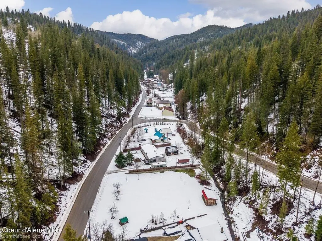534 Terror Gulch Road Osburn ID 83849