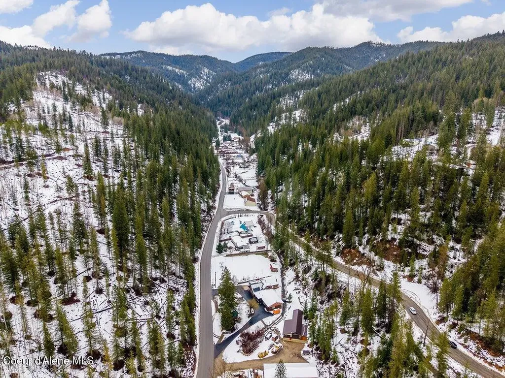 534 Terror Gulch Road Osburn ID 83849