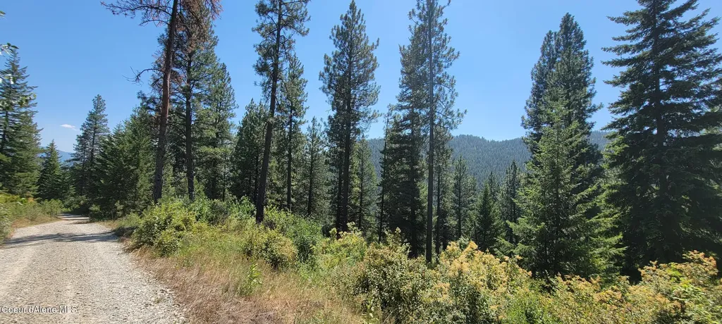 Nna Snowcat Lane Tract 4 Bonners Ferry ID 83805