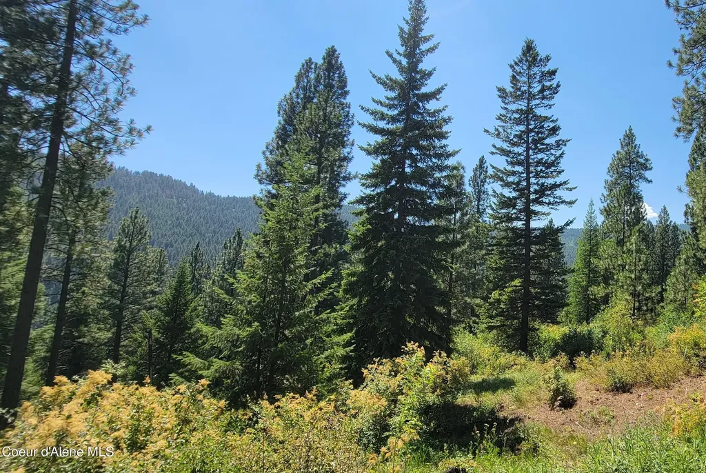 Nna Snowcat Lane Tract 4 Bonners Ferry ID 83805