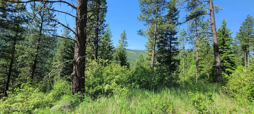 Nna Snowcat Lane Tract 4 Bonners Ferry ID 83805