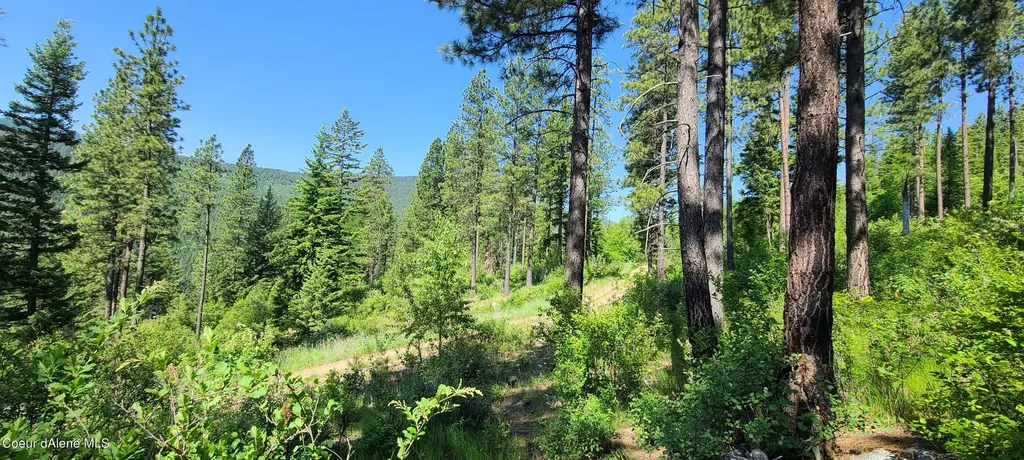 Nna Snowcat Lane Tract 4 Bonners Ferry ID 83805