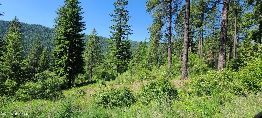 Nna Snowcat Lane Tract 4 Bonners Ferry ID 83805