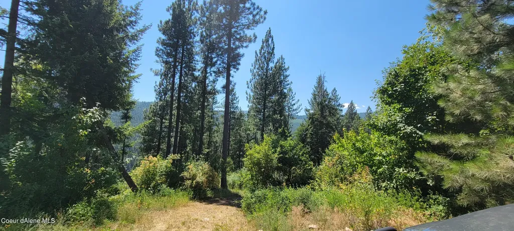 Nna Snowcat Lane Tract 4 Bonners Ferry ID 83805