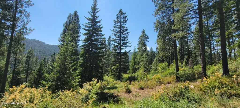 Nna Snowcat Lane Tract 4 Bonners Ferry ID 83805