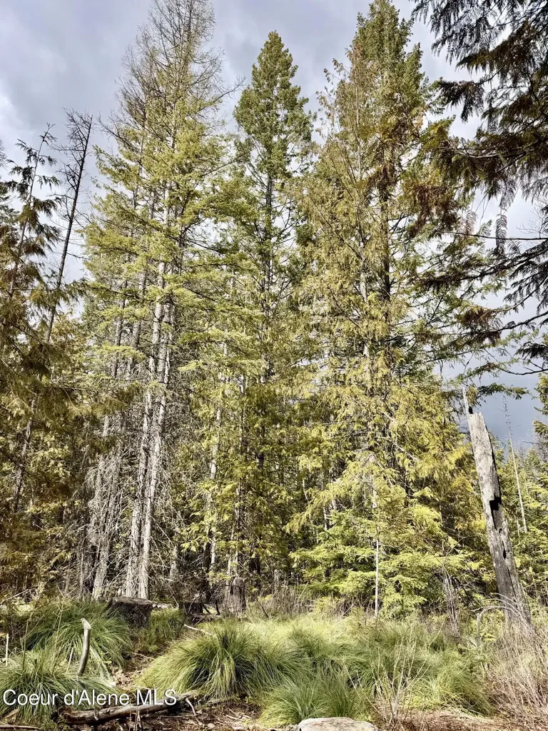 Nna Cross Mountain Road Sandpoint ID 83864