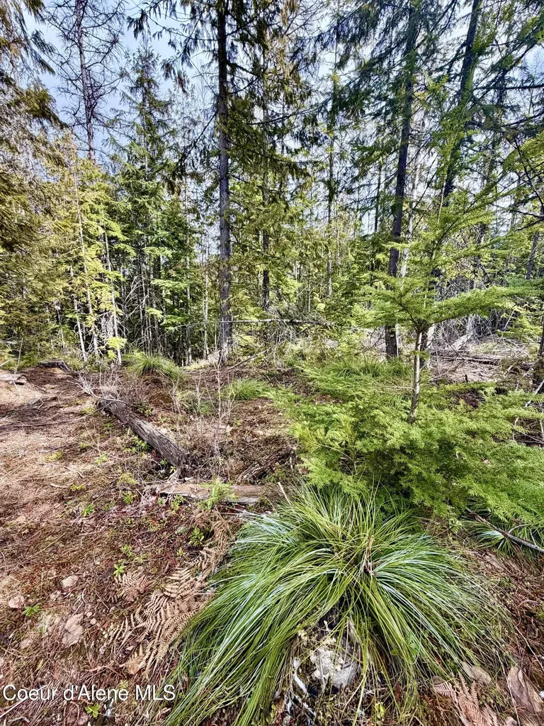 Nna Cross Mountain Road Sandpoint ID 83864