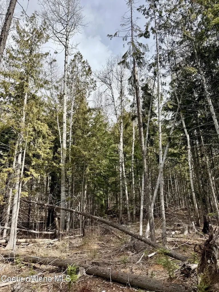 Nna Cross Mountain Road Sandpoint ID 83864