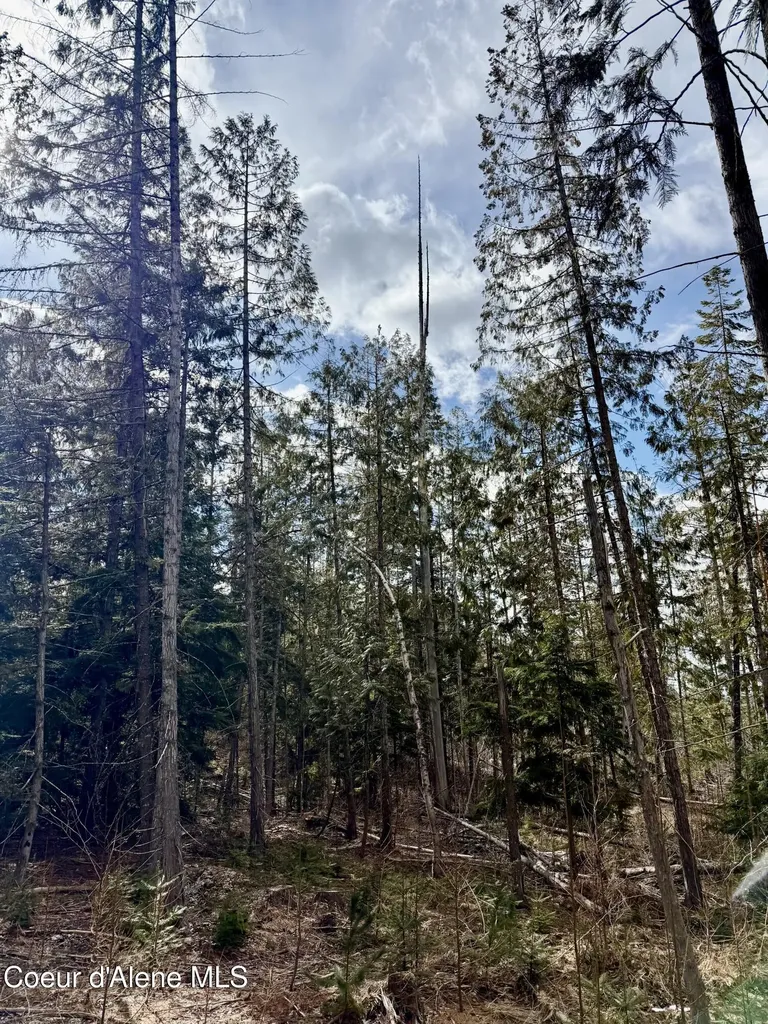 Nna Cross Mountain Road Sandpoint ID 83864