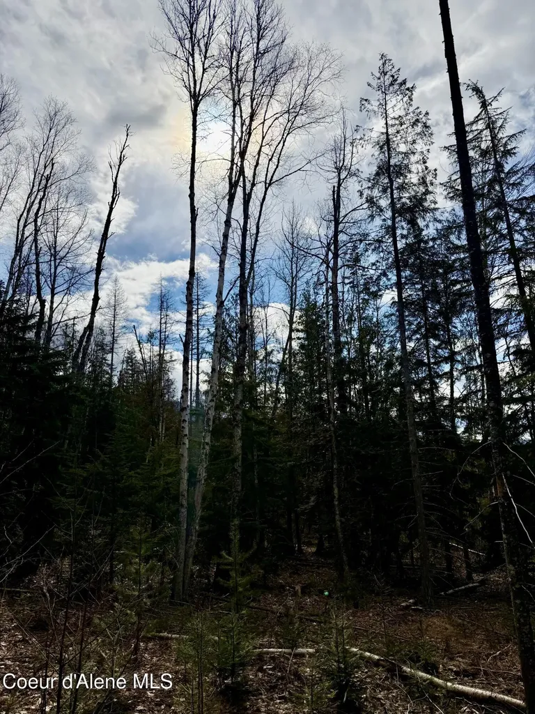 Nna Cross Mountain Road Sandpoint ID 83864