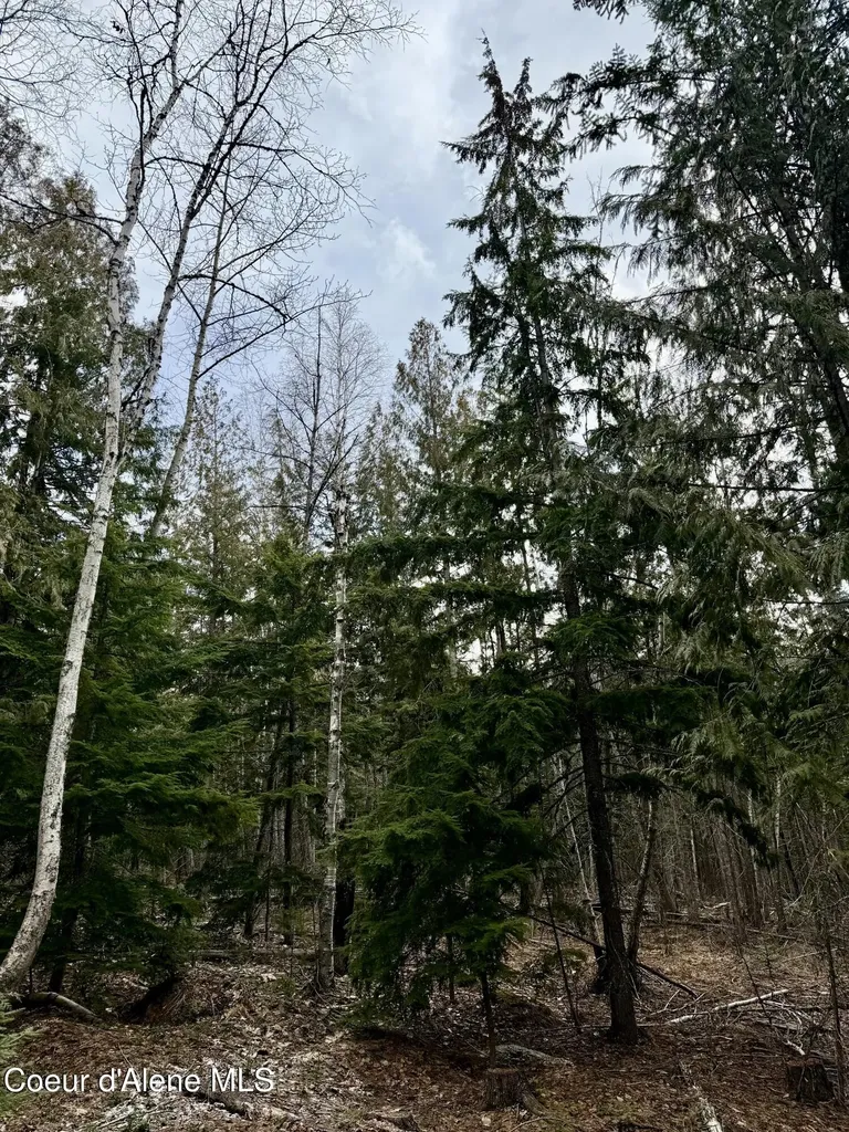 Nna Cross Mountain Road Sandpoint ID 83864