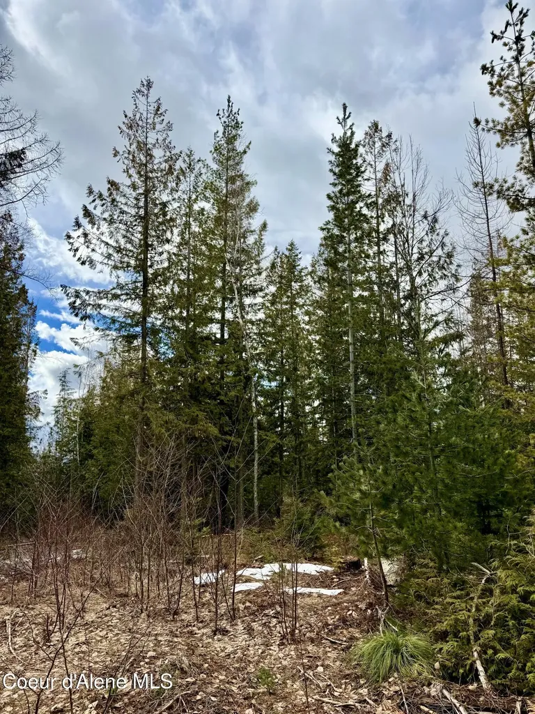 Nna Cross Mountain Road Sandpoint ID 83864